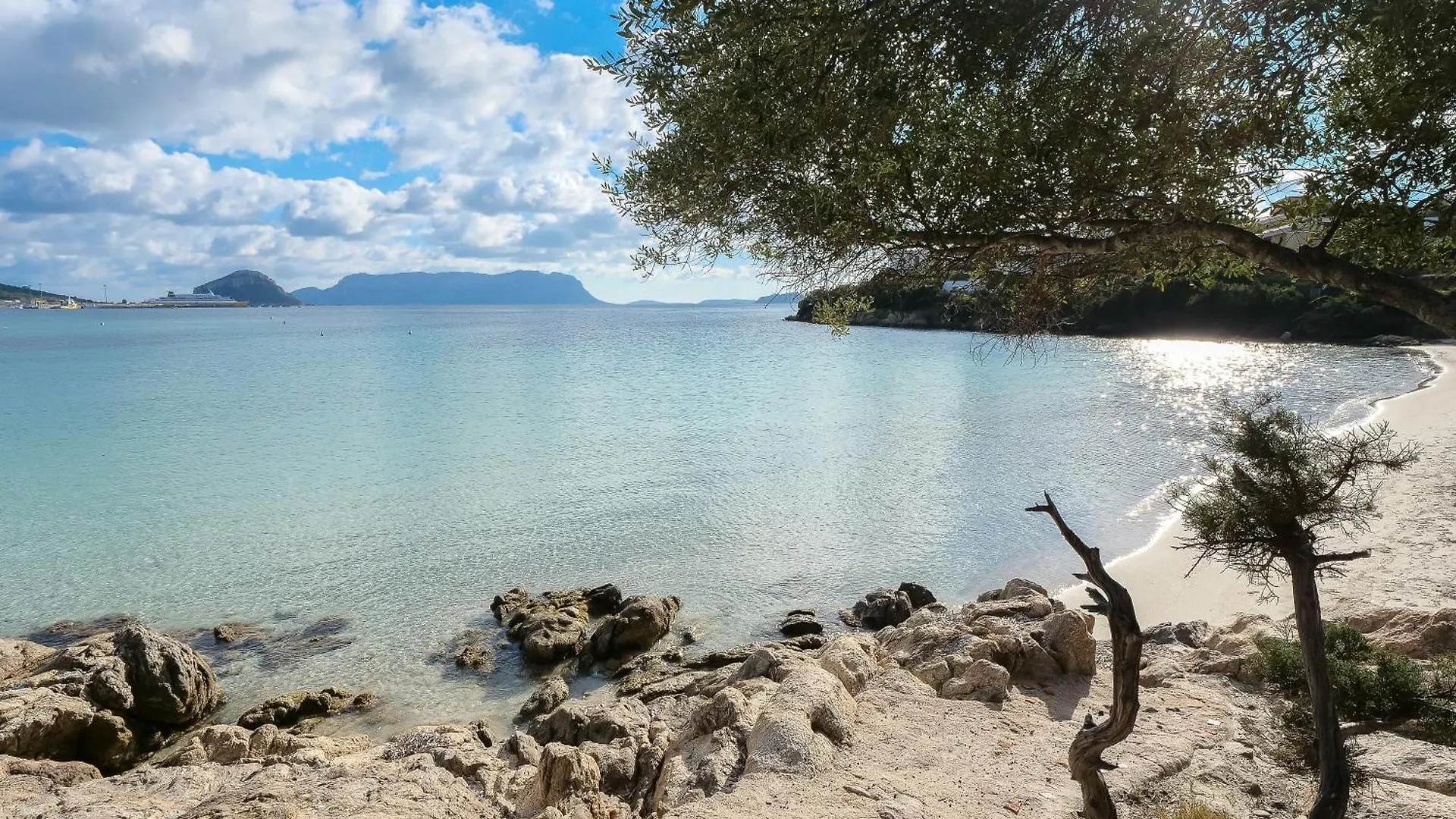 Residence Orizzonti App N 23 Golfo Aranci Holiday home